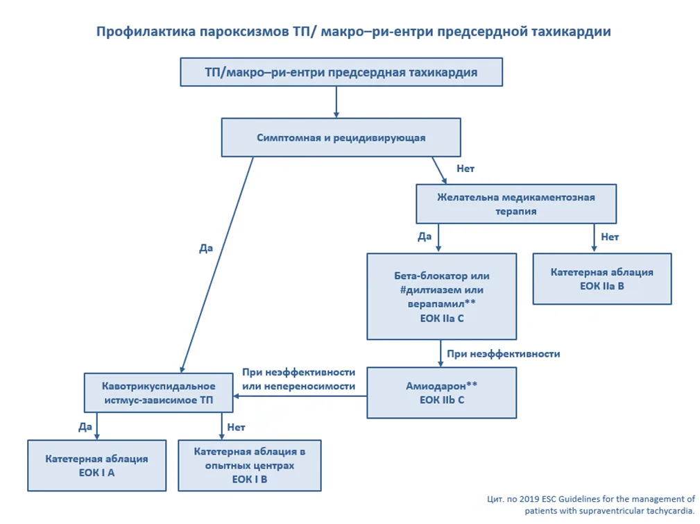 Приложение Б. Алгоритмы действий врача — Наджелудочковые тахикардии