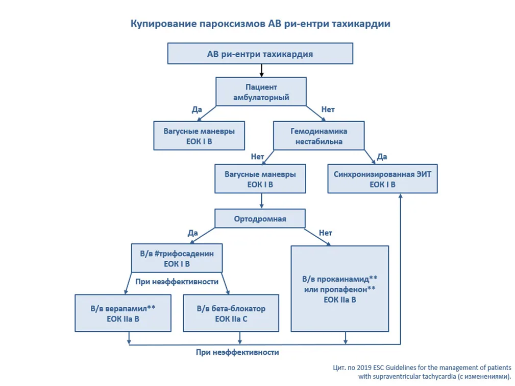 Приложение Б. Алгоритмы действий врача — Наджелудочковые тахикардии