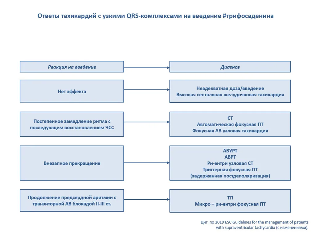 Приложение Б. Алгоритмы действий врача — Наджелудочковые тахикардии