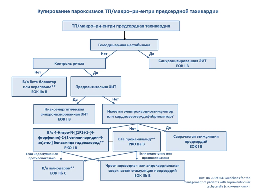 Приложение Б. Алгоритмы действий врача — Наджелудочковые тахикардии