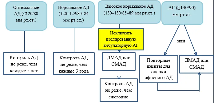 Приложение А3. Справочные материалы — Артериальная гипертензия у взрослых