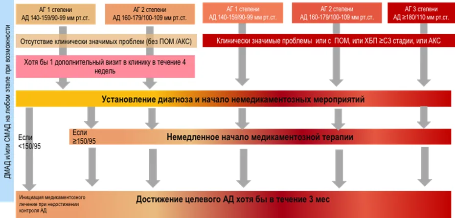 Приложение А3. Справочные материалы — Артериальная гипертензия у взрослых