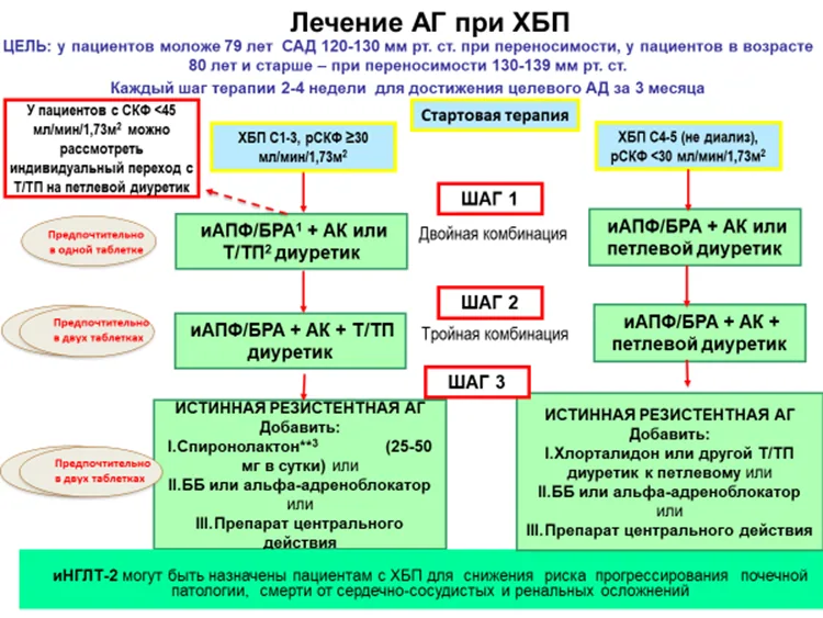 Приложение Б. Алгоритмы действий врача — Артериальная гипертензия у взрослых