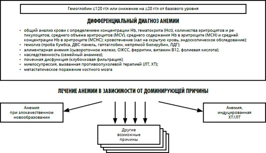Приложение Б. Алгоритмы действий врача — Анемия при злокачественных новообразованиях