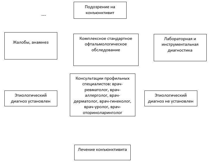 Приложение Б. Алгоритмы действий врача — Конъюнктивиты