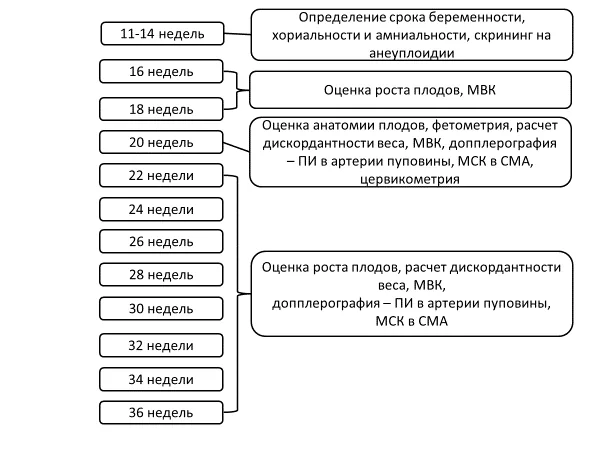 Приложение Б. Алгоритмы действий врача — Многоплодная беременность