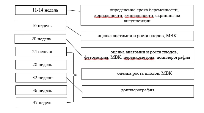Приложение Б. Алгоритмы действий врача — Многоплодная беременность