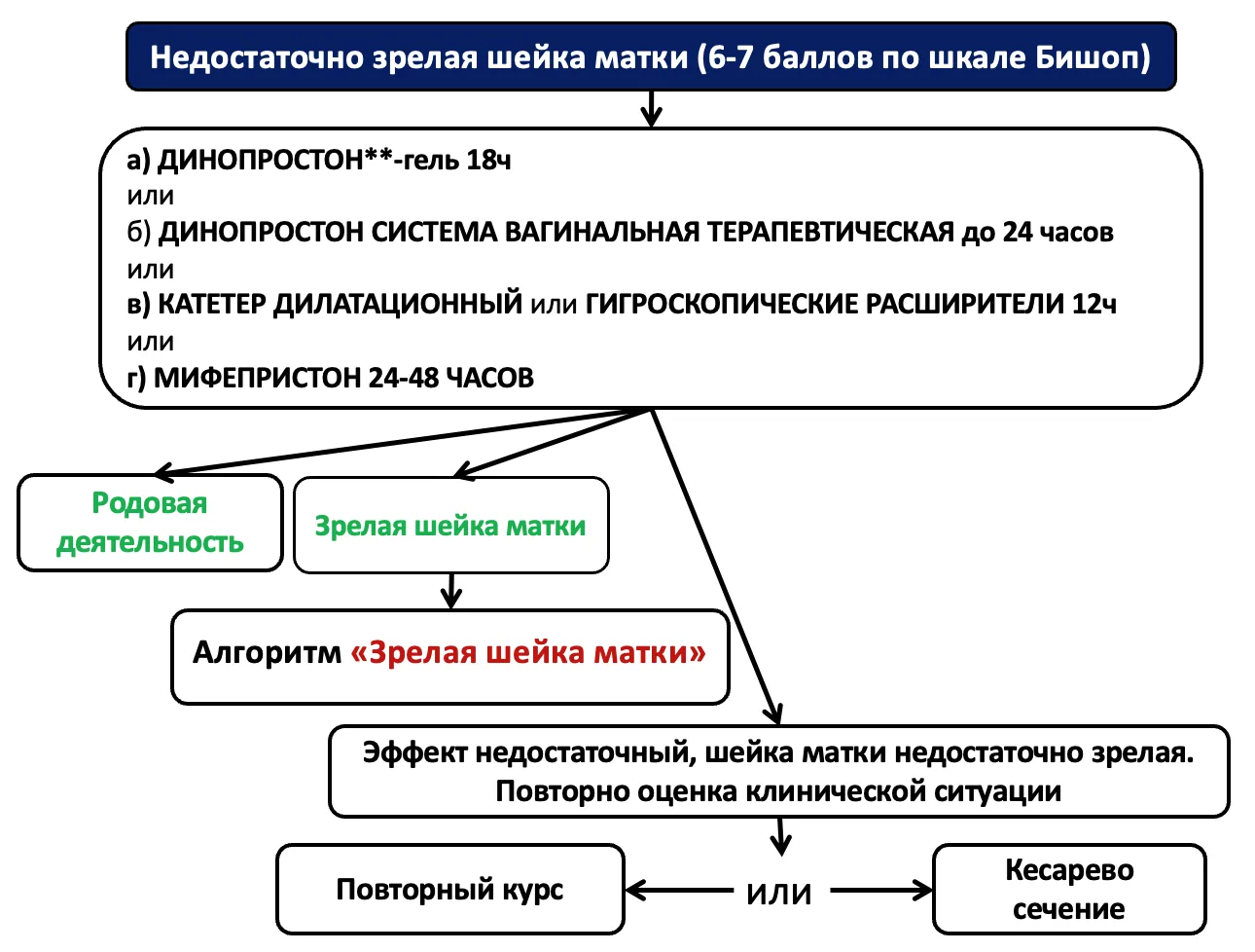 Приложение Б. Алгоритмы действий врача — Подготовка шейки матки к родам и родовозбуждение