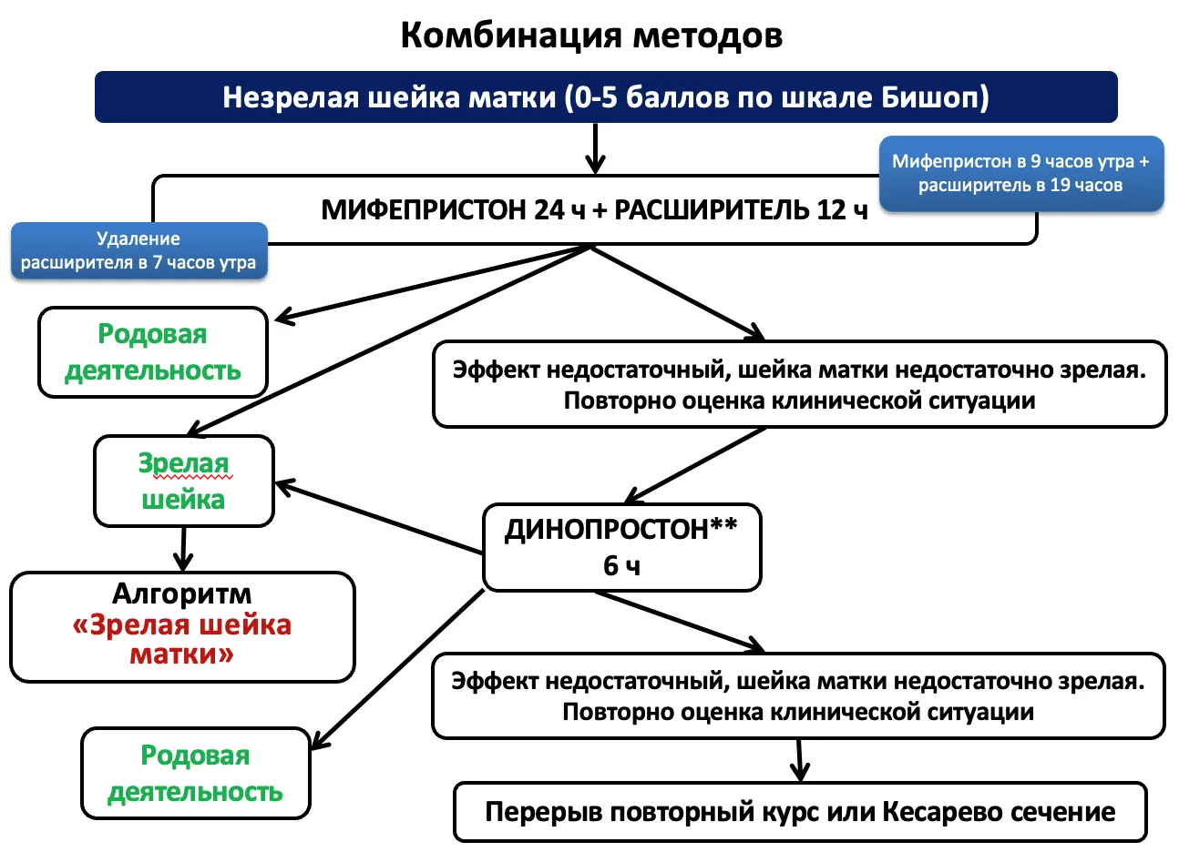 Приложение Б. Алгоритмы действий врача — Подготовка шейки матки к родам и родовозбуждение