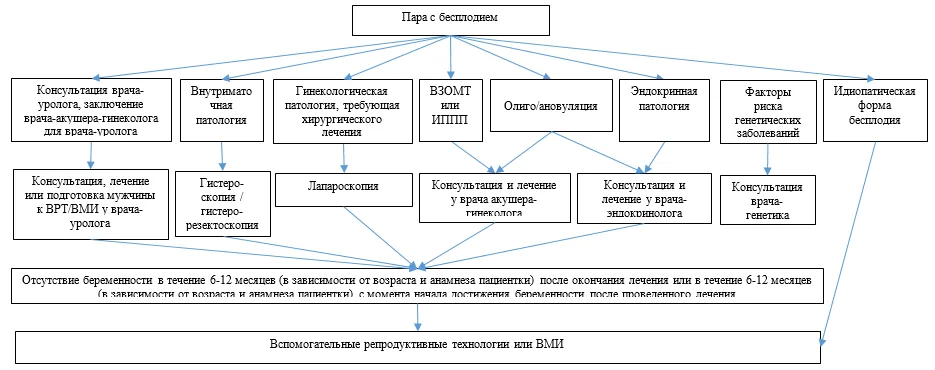Приложение Б. Алгоритмы действий врача — Женское бесплодие