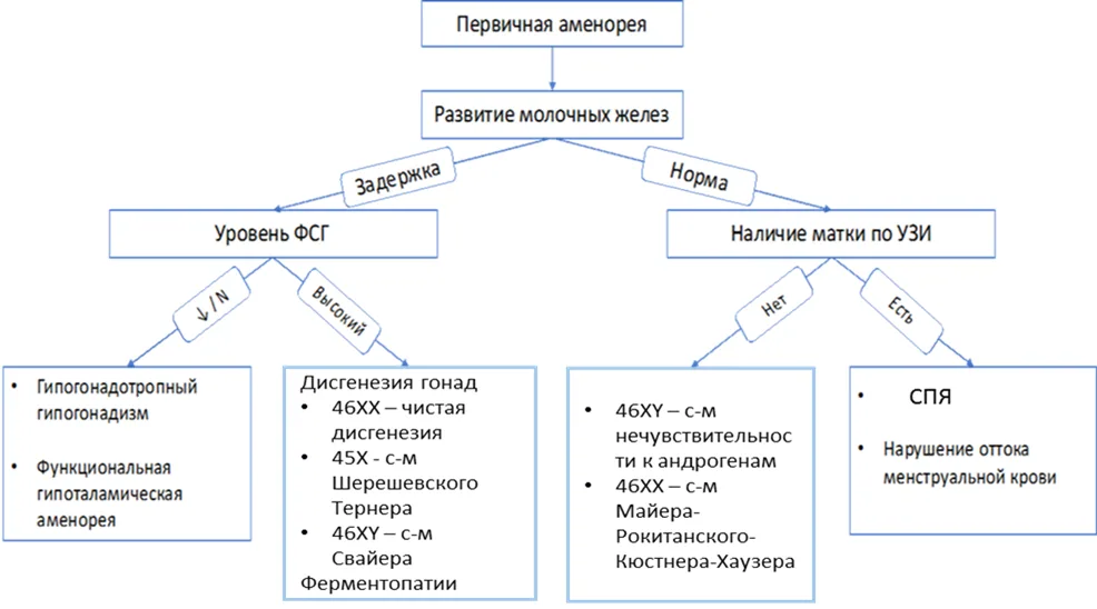 Приложение Б. Алгоритмы действий врача — Аменорея и олигоменорея