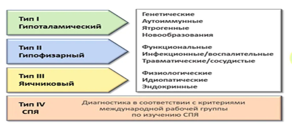 Приложение Г1 - Г... Шкалы оценки, вопросники — Аменорея и олигоменорея
