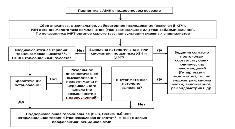 Приложение Б. Алгоритмы действий врача — Аномальные маточные кровотечения
