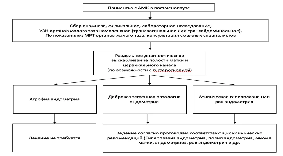 Приложение Б. Алгоритмы действий врача — Аномальные маточные кровотечения