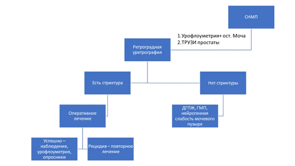 Приложение Б. Алгоритмы действий врача — Стриктура уретры