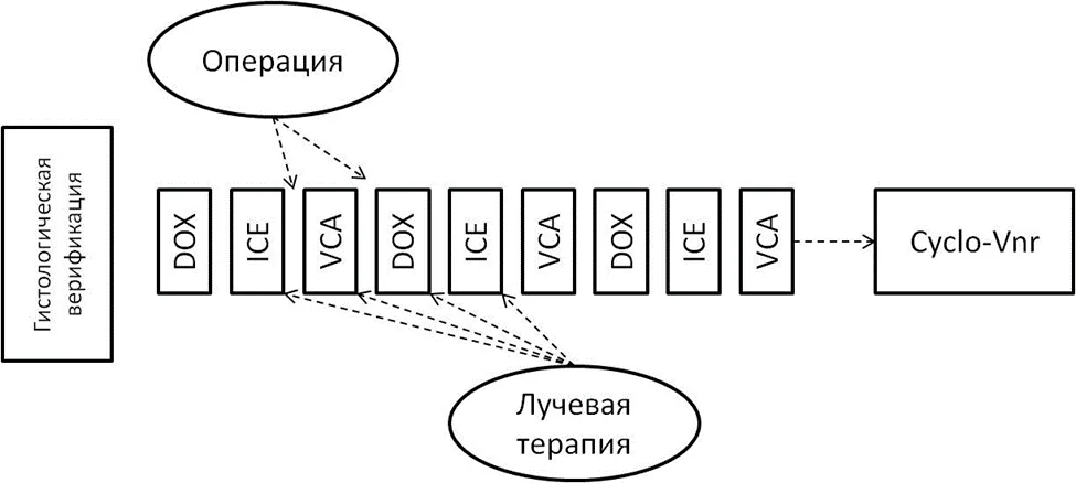 Приложение А3. Справочные материалы — Злокачественные новообразования почек, почечных лоханок, мочеточника, других и неуточненных мочевых органов