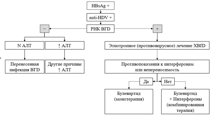 Приложение Б. Алгоритмы действий врача — Хронический вирусный гепатит D (ХВГD) у взрослых