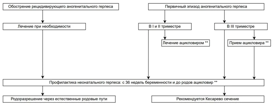 Приложение Б. Алгоритмы действий врача — Аногенитальная герпетическая вирусная инфекция