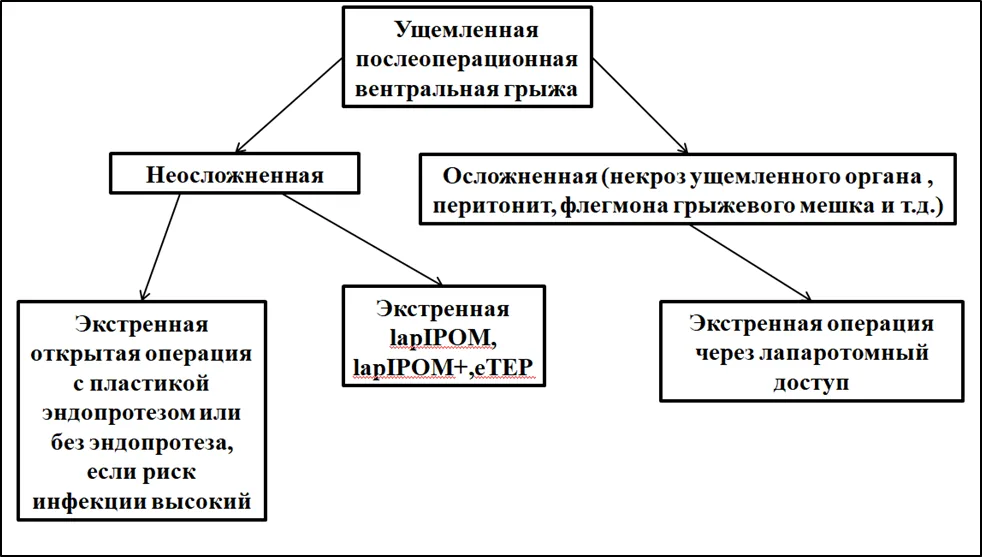 Приложение Б. Алгоритмы действий врача — Послеоперационная вентральная грыжа