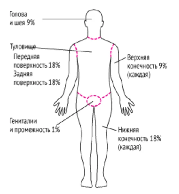 Приложение Г1 - Г... Шкалы оценки, вопросники — Ожоги термические и химические. Ожоги солнечные. Ожоги дыхательных путей.