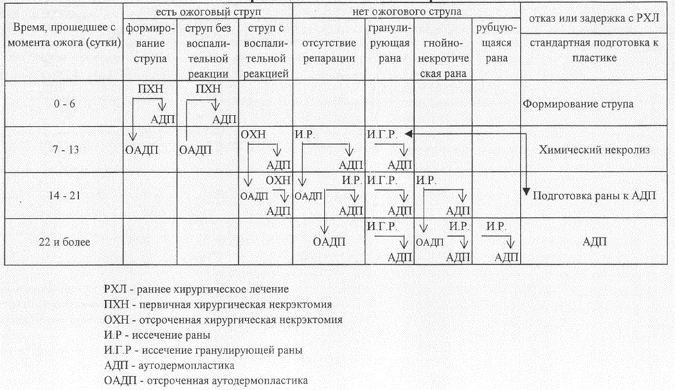 Приложение Б. Алгоритмы действий врача — Ожоги термические и химические. Ожоги солнечные. Ожоги дыхательных путей.