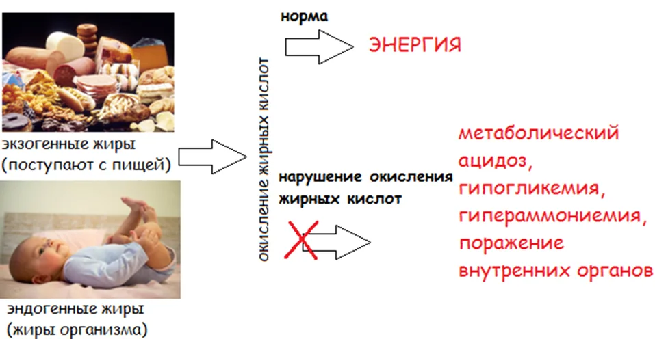 Приложение В. Информация для пациента — Нарушения митохондриального β-окисления жирных кислот