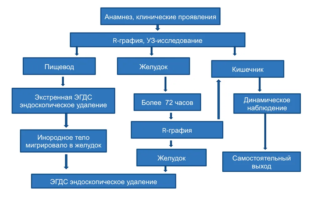 Приложение Б. Алгоритмы действий врача — Инородное тело в пищеварительном тракте