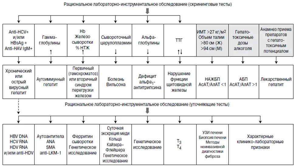 2.5 Иные исследования — Алкогольная болезнь печени