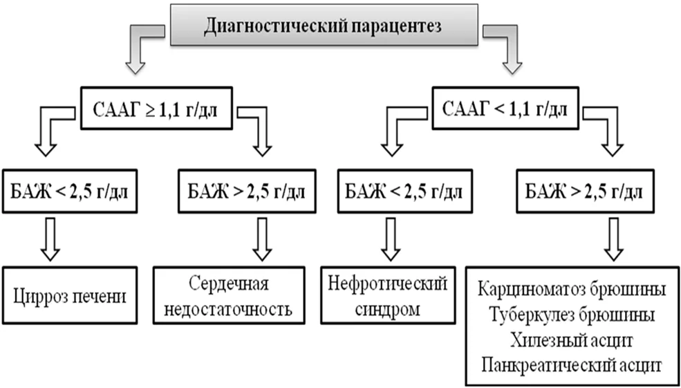 Приложение Б. Алгоритмы действий врача — Цирроз и фиброз печени