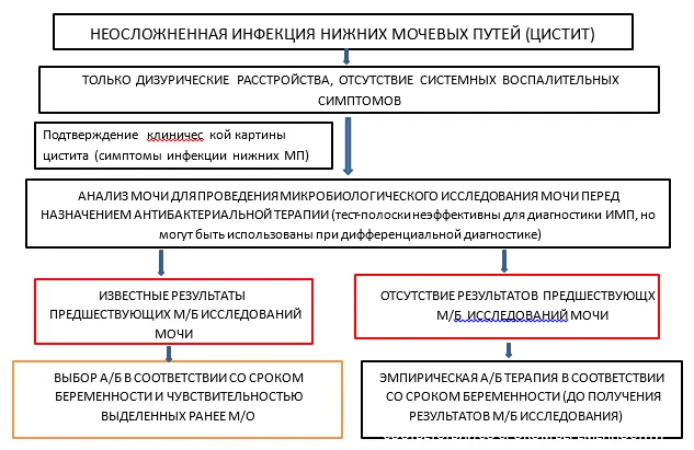 Приложение Б. Алгоритмы действий врача — Инфекция мочевых путей при беременности