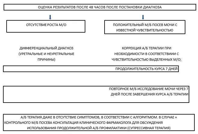 Приложение Б. Алгоритмы действий врача — Инфекция мочевых путей при беременности