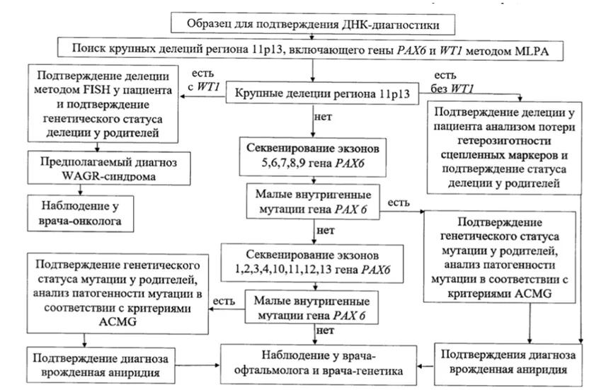 Приложение Б. Алгоритмы действий врача — Аниридия врожденная