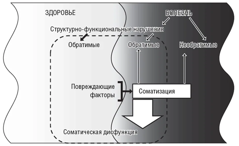 1.2 Этиология и патогенез заболевания или состояния (группы заболеваний или состояний) — Соматическая дисфункция