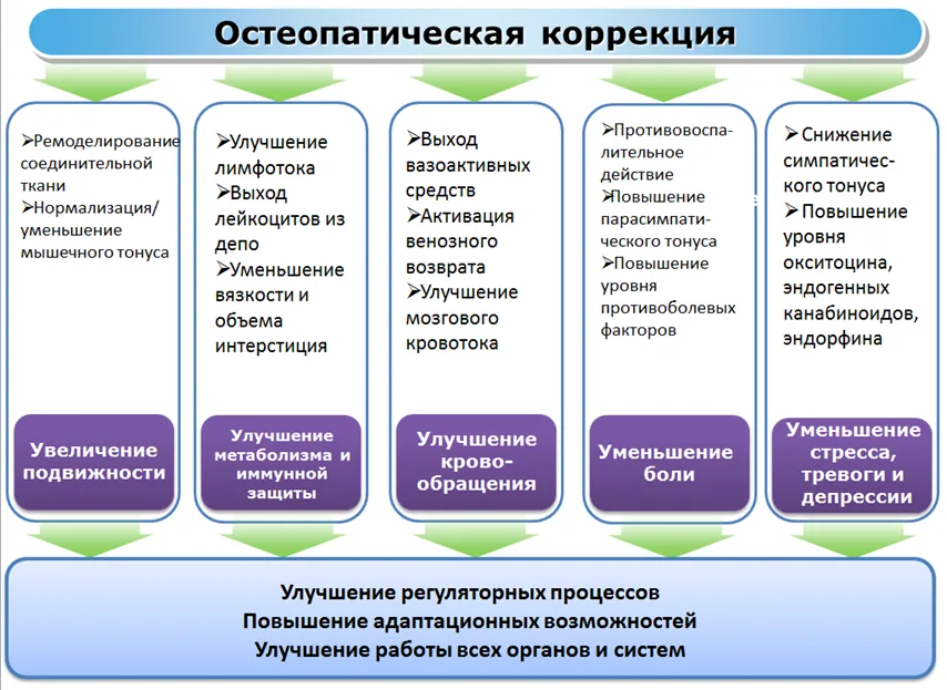 Приложение А3. Справочные материалы — Соматическая дисфункция