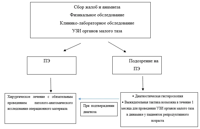 Приложение Б. Алгоритмы действий врача — Полипы эндометрия