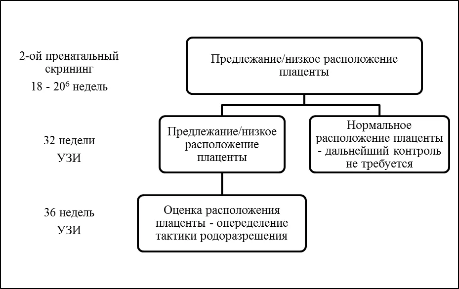 Приложение Б. Алгоритмы действий врача — Патологическое прикрепление плаценты (предлежание и врастание плаценты)