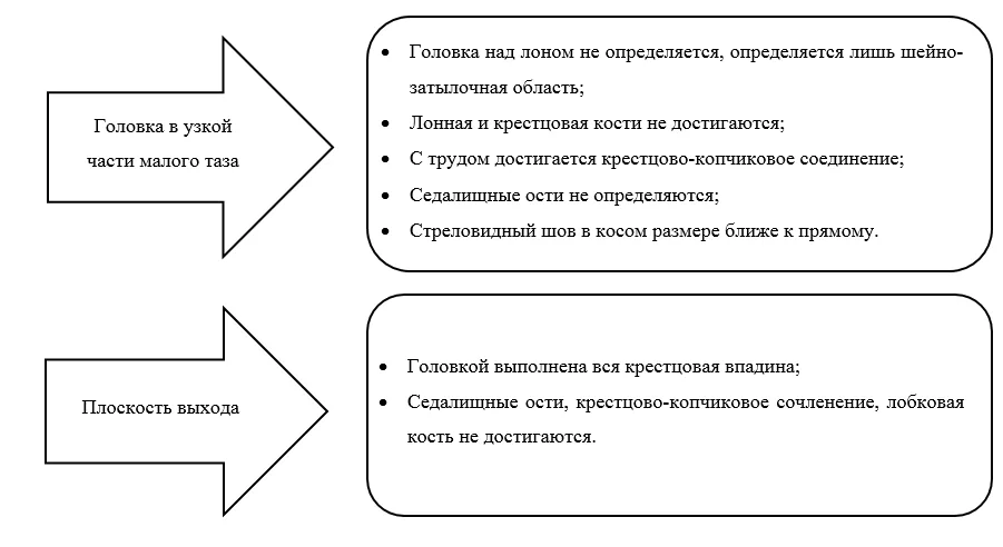 Приложение Б. Алгоритмы действий врача — Оперативные влагалищные роды (Роды одноплодные, родоразрешение с наложением щипцов или с применением вакуум-экстрактора)