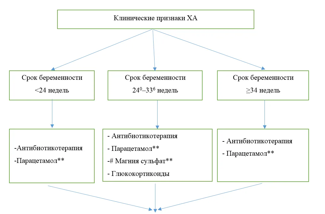 Приложение Б. Алгоритмы действий врача — Инфекции амниотической полости и плодных оболочек (хориоамнионит)