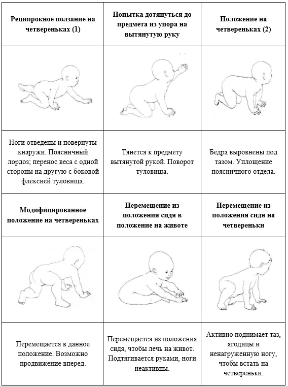 Приложение Г1 - Г... Шкалы оценки, вопросники — Недостаточность 3-метилкротонил-КоА карбоксилазы (3-метилкротонилглицинурия, метилкротонил КоА карбоксилазная недостаточность)