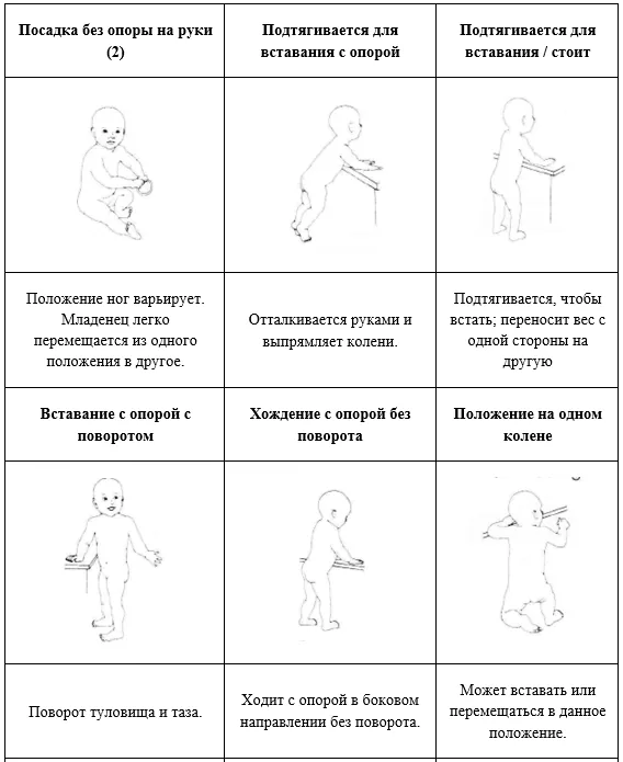Приложение Г1 - Г... Шкалы оценки, вопросники — Недостаточность 3-метилкротонил-КоА карбоксилазы (3-метилкротонилглицинурия, метилкротонил КоА карбоксилазная недостаточность)