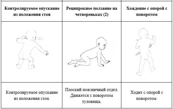 Приложение Г1 - Г... Шкалы оценки, вопросники — Недостаточность 3-метилкротонил-КоА карбоксилазы (3-метилкротонилглицинурия, метилкротонил КоА карбоксилазная недостаточность)