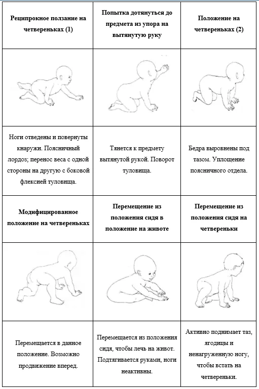 Приложение Г1 - Г... Шкалы оценки, вопросники — Недостаточность митохондриальной ацетоацетил-КоА-тиолазы (дефицит бета-кетотиолазы, дефицит Т2)
