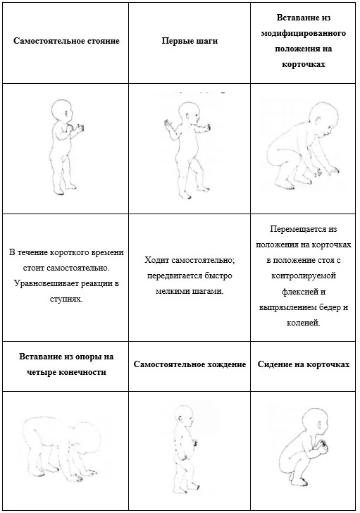 Приложение Г1 - Г... Шкалы оценки, вопросники — Недостаточность митохондриальной ацетоацетил-КоА-тиолазы (дефицит бета-кетотиолазы, дефицит Т2)
