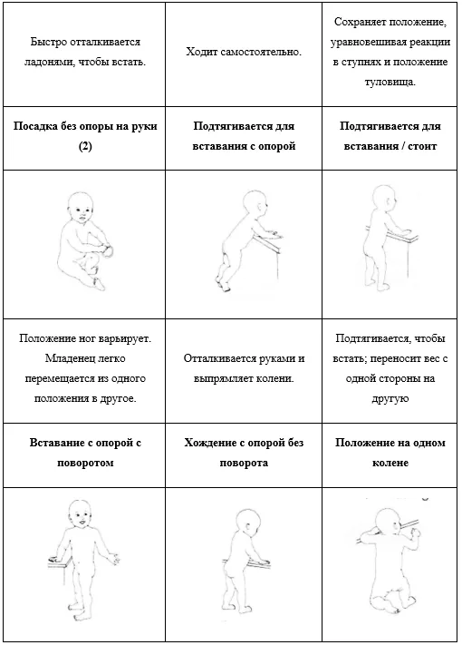 Приложение Г1 - Г... Шкалы оценки, вопросники — Недостаточность митохондриальной ацетоацетил-КоА-тиолазы (дефицит бета-кетотиолазы, дефицит Т2)