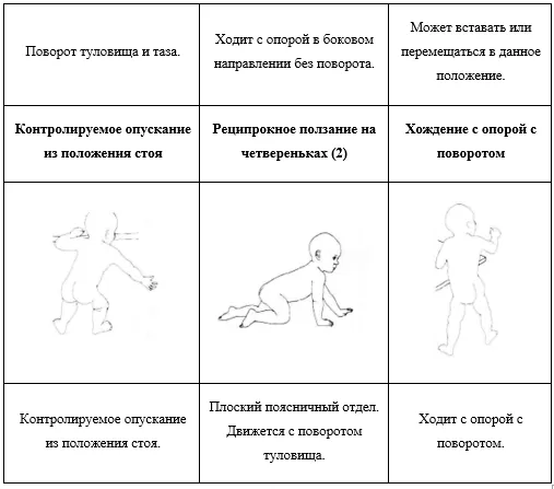 Приложение Г1 - Г... Шкалы оценки, вопросники — Недостаточность митохондриальной ацетоацетил-КоА-тиолазы (дефицит бета-кетотиолазы, дефицит Т2)