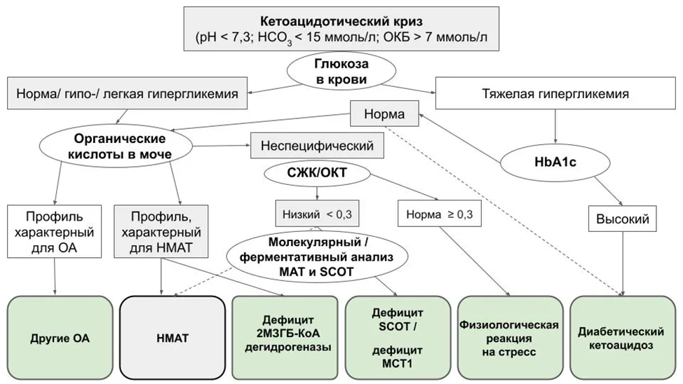 Приложение Б. Алгоритмы действий врача — Недостаточность митохондриальной ацетоацетил-КоА-тиолазы (дефицит бета-кетотиолазы, дефицит Т2)