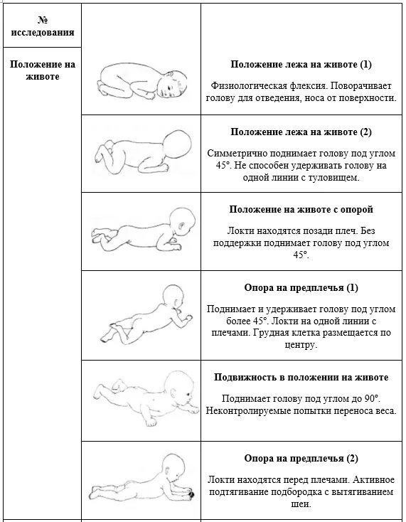 Приложение Г1 - Г... Шкалы оценки, вопросники — Дефицит 3-гидрокси-3-метилглутарил-КоА лиазы