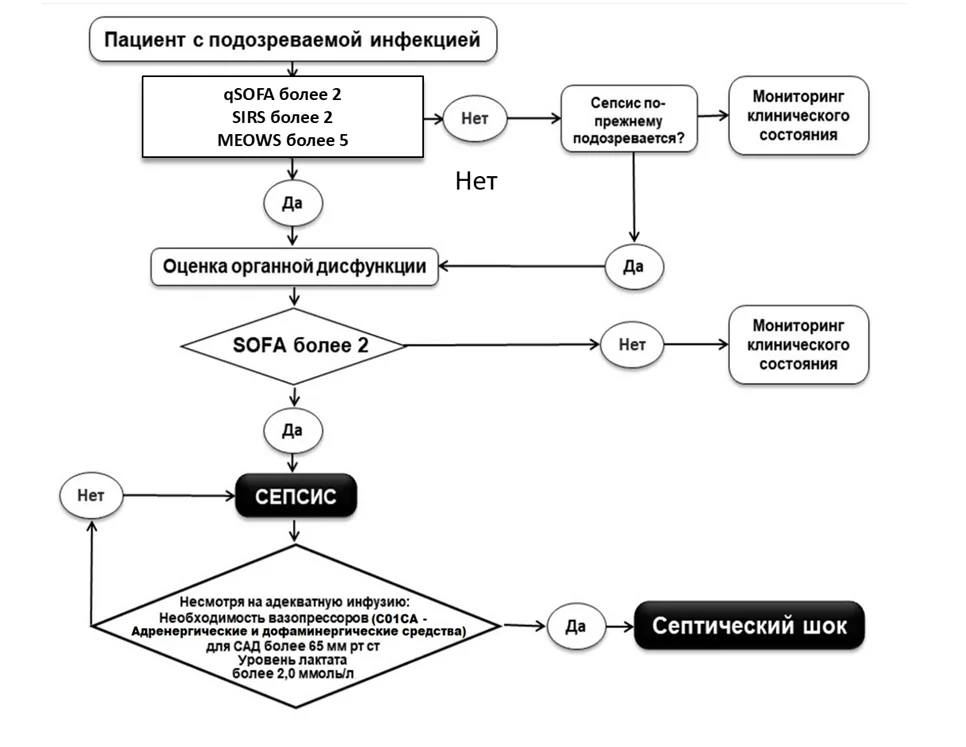 Приложение Б. Алгоритмы действий врача — Послеродовые инфекционные осложнения