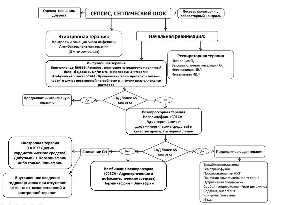 Приложение Б. Алгоритмы действий врача — Послеродовые инфекционные осложнения