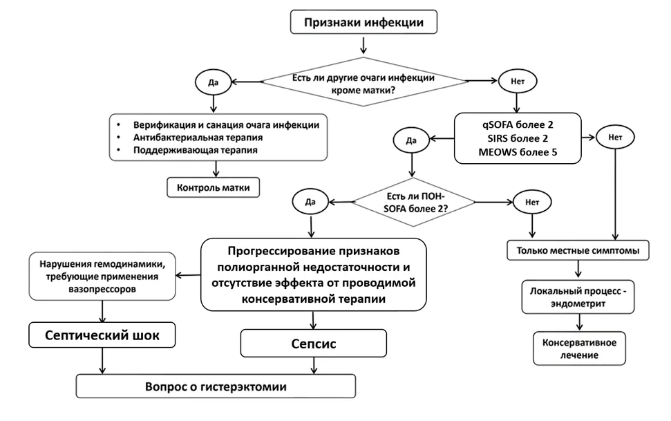 Приложение Б. Алгоритмы действий врача — Послеродовые инфекционные осложнения
